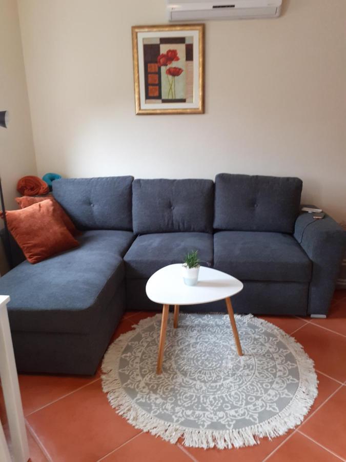 Lola Apartmani 罗维尼 外观 照片